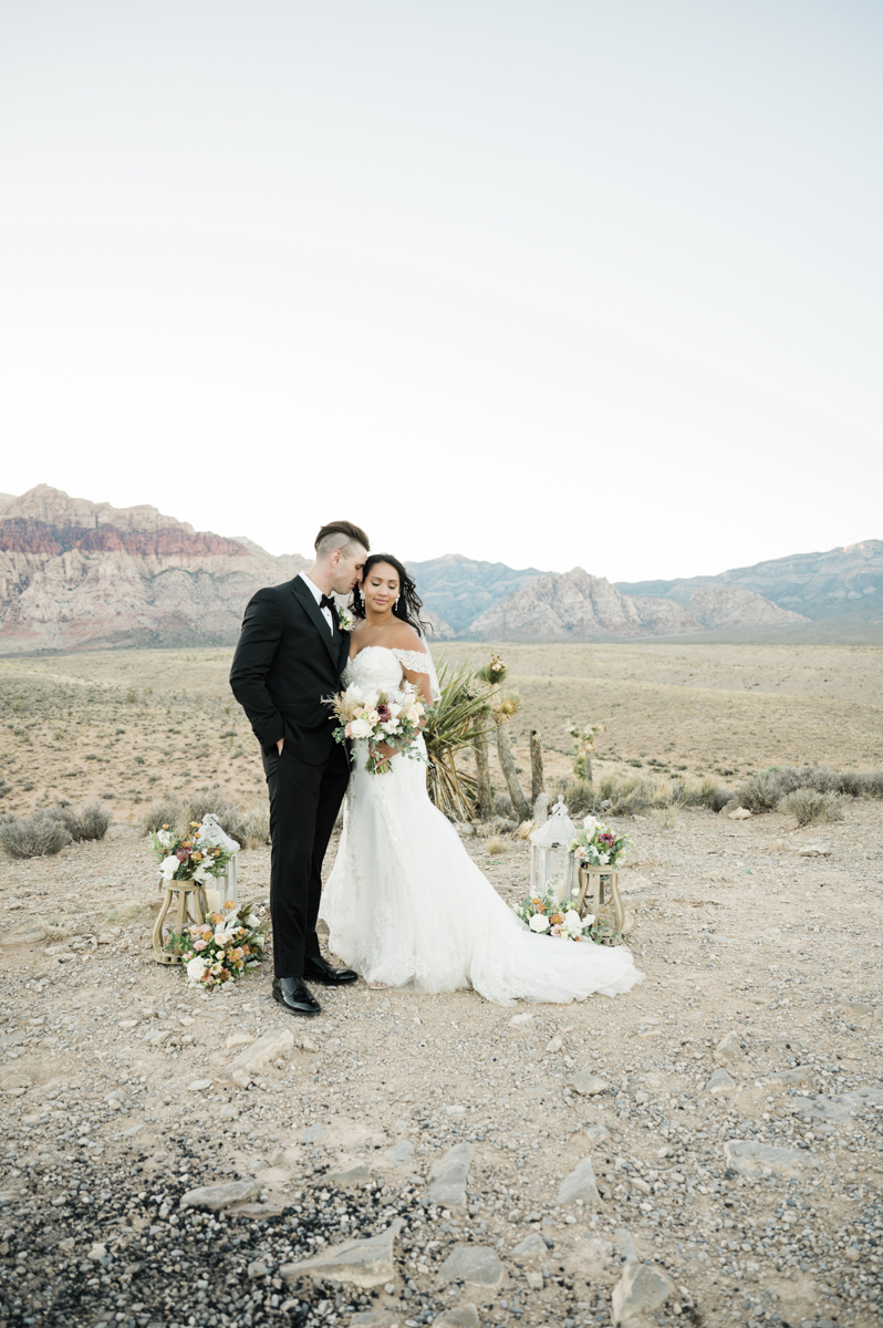 Luna Edit - Cactus Collective Weddings & Elopement Packages