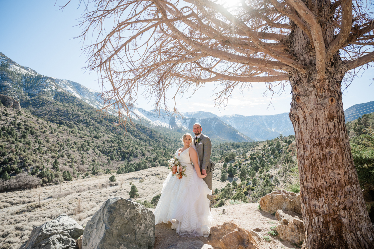 Newlyweds eloping at Mt. Charleston Retreat in Las Vegas.