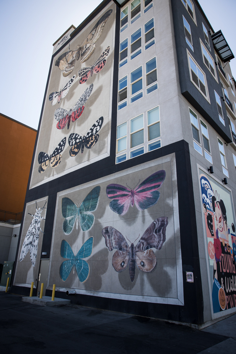 Butterfly mural on the side of a building in Las Vegas.