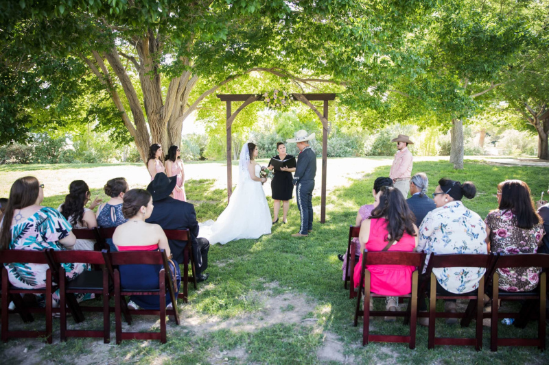 Las-Vegas-Weddings-in-Floyd-Lamb-Park-0586