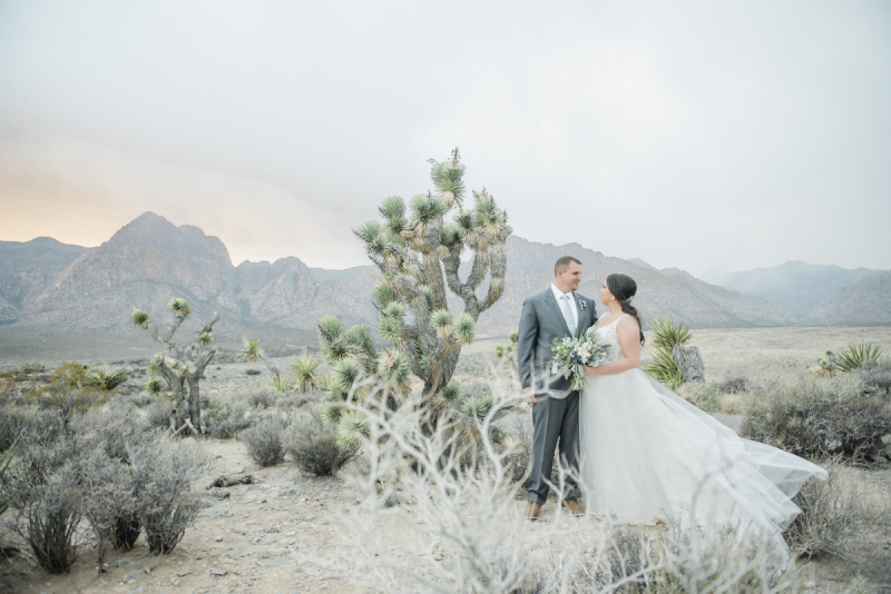 Bride and groom standing next to joshua tree.