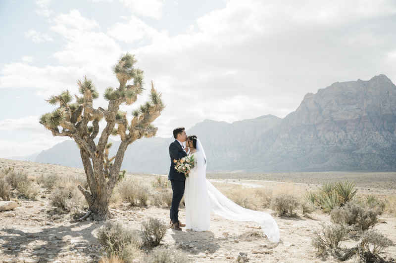 Wedding couple standing next to Joshua tree with mountains in the background.