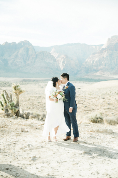 Bride and groom kissing with desert landscape background.