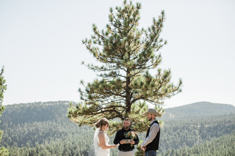 A bride and groom exchange vows on their wedding day. They stand in front of a lone pine tree. The photo shows the couple and their officiant at the very bottom of the frame because the camera is positioned upwards to show the tree stretching to the sky.