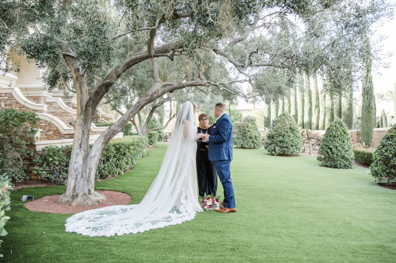 A bride groom holding hands and listening to their wedding officiant as the three of them stand underneath a tree.