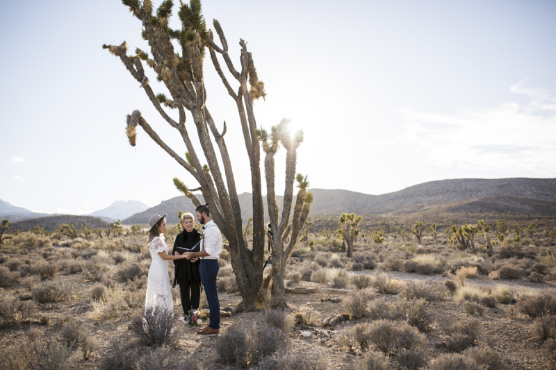 Elopement ceremony in front of a Joshua Tree.