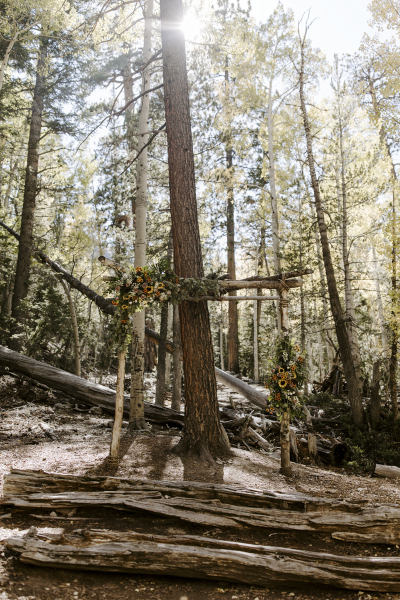 A clearing in a grove of aspens and pine trees is displayed with a natural wooden arch covered in wedding flowers.