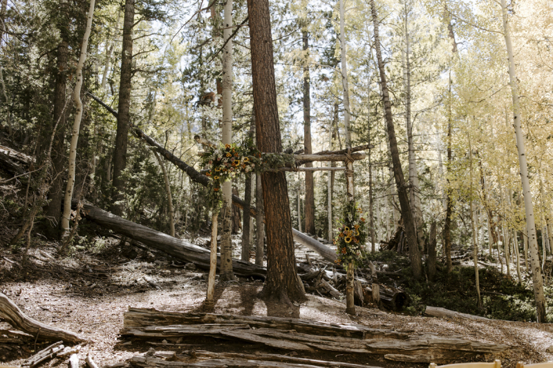 A floral decorated wedding arbor made of logs is displayed in a clearing of an aspen grove at Lee Canyon ski area near Las Vegas.