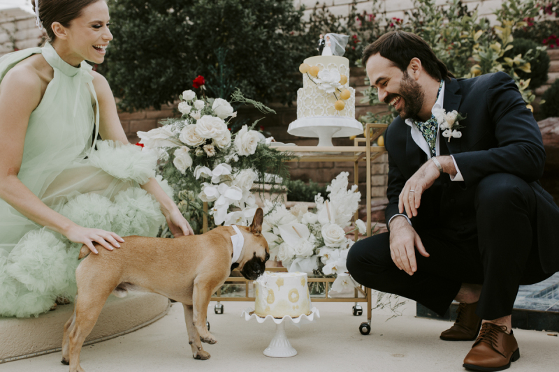 A kneeling bride and groom laugh at a dog eating a small cake. There is a larger more decorative cake on the bar cart behind them.
