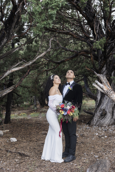 A bride in a white dress and a groom in a black tuxedo gaze up at a canopy of pine trees that fill the frame with weathered and twisted branches.