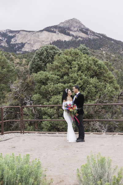 A wide shot of a bride and groom looking at each other and smiling as they stand in front of a brown safety railing with the Spring Mountains in the background and blooming bushes in the foreground.