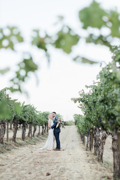 Photo of couple in vineyard from far away.