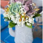 Green succulent in a white mug.