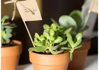 Your Wedding Day with a Personal Touch