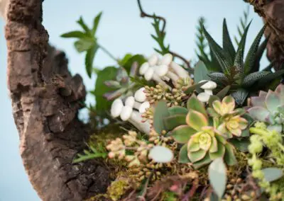 Sustainable Green Wedding at the Doyle in Las Vegas.