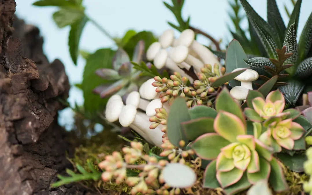 10 Easy Ways to Make Your Wedding Eco-Friendly