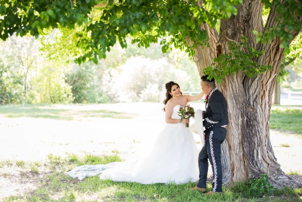 Bride and groom stand near a tree with wide open grassy area behind them.