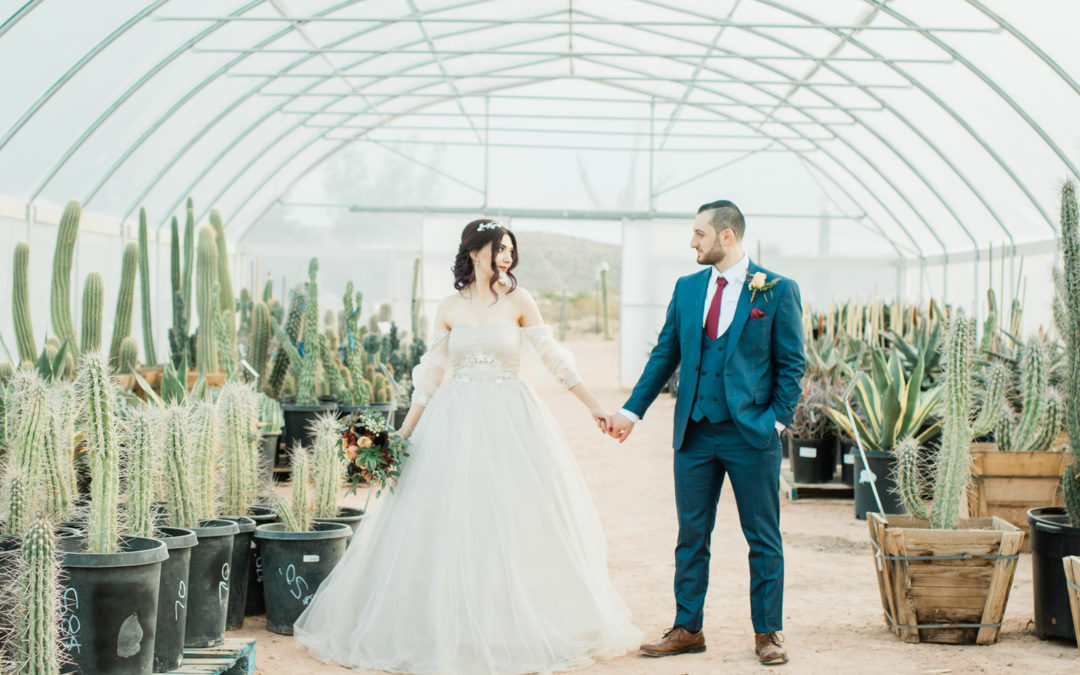 Wedding couple walking through greenhouse.