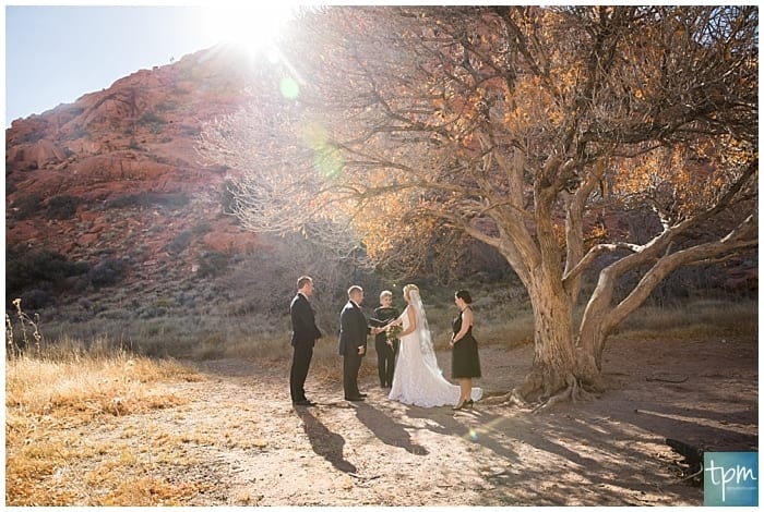 Small elopement ceremony in front of tree in the fall season.