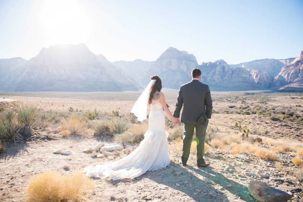Bride and groom in the desert holding hands looking at the canyon.