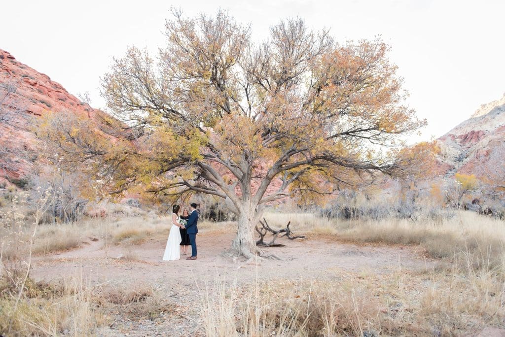 Bride and groom getting married at an outdoor venue in Las Vegas.