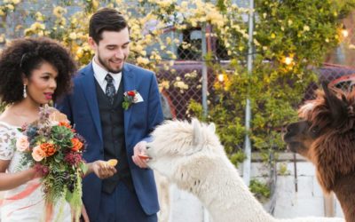 The Story Behind Our Sustainable Wedding Photoshoot