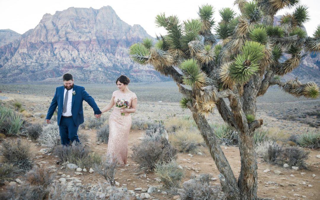 Beth + Derek eloping in the desert in Las Vegas.