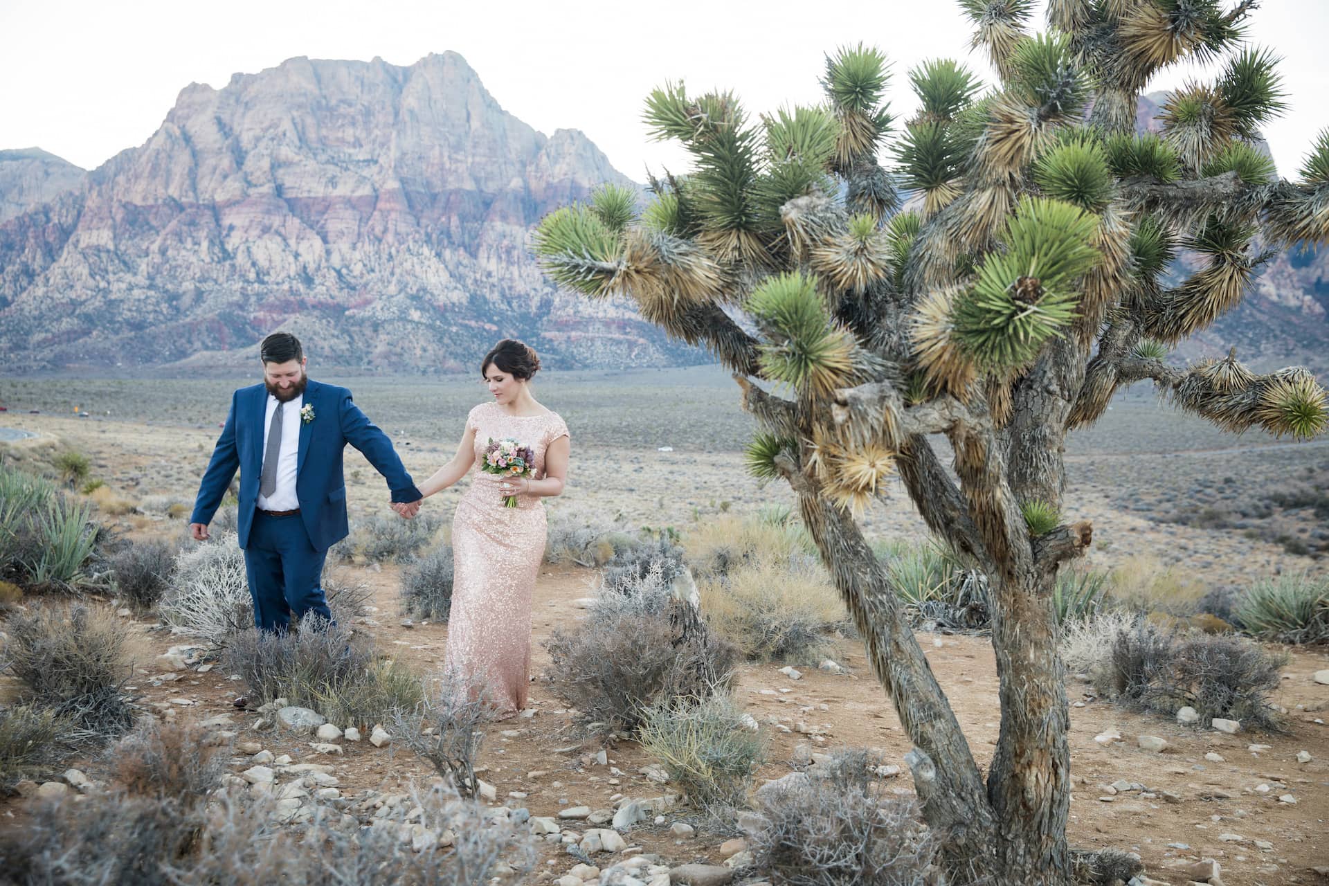 Beth + Derek eloping in the desert in Las Vegas.