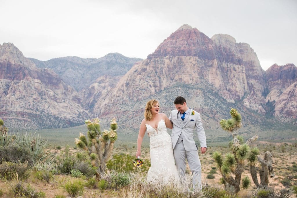 Overlook in Red Rock Canyon