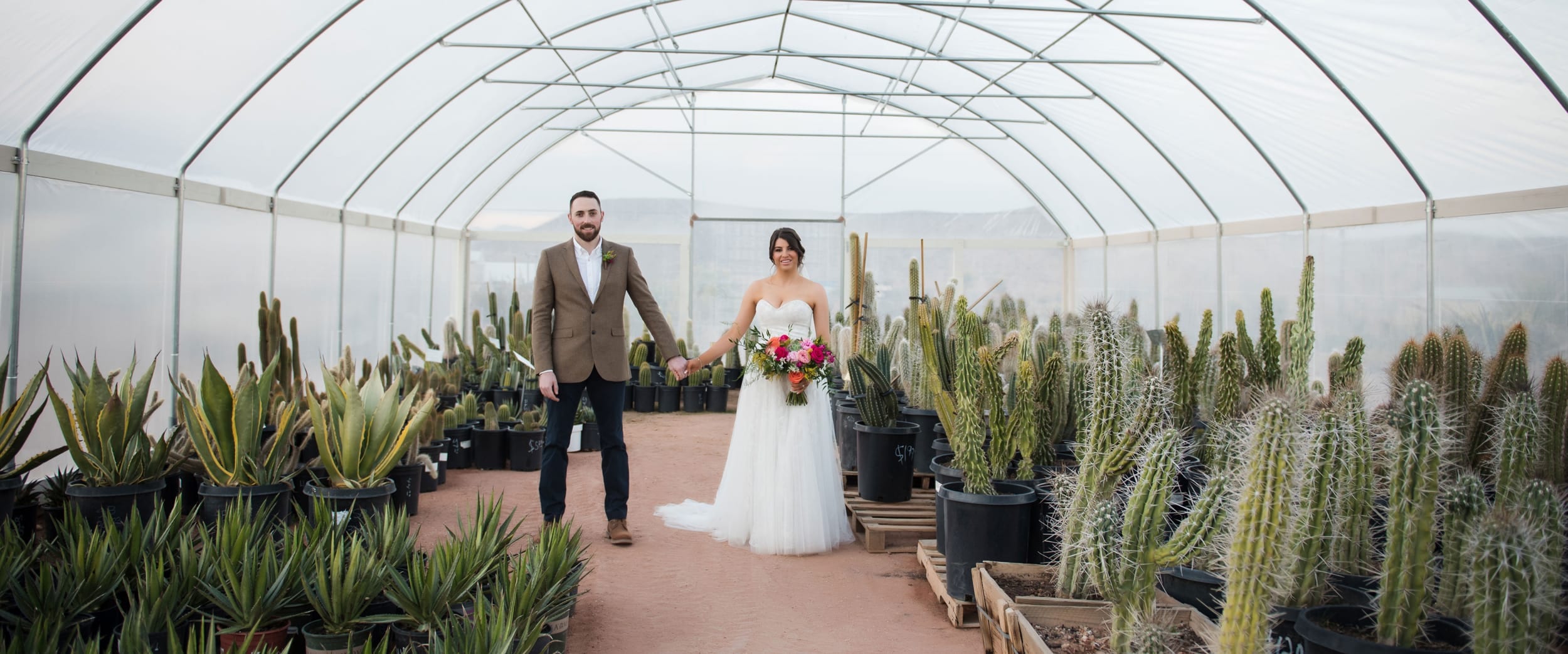 Bride and groom pose in a cactus garden.