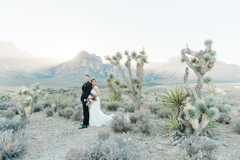Bride and groom standing in the Las Vegas desert for their minimony ceremony.