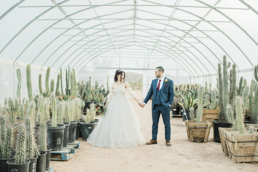 Bride and groom hand in hand in cactus nursery