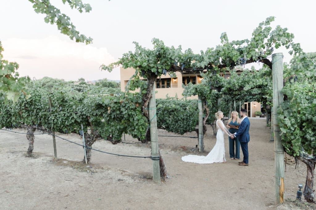 Ceremony taking place in vineyard