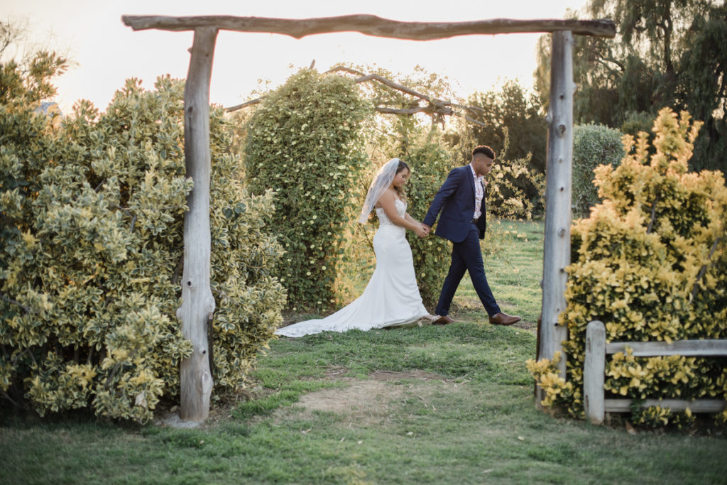A bride and groom hold hands and walk past in a vineyard. He is wearing a navy suit and brown shoes, while she wears a white sleeveless wedding dress with a train and a veil. There's a wooden archway in the foreground. 