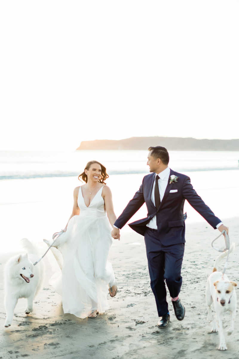 bride and groom on beach with their dogs