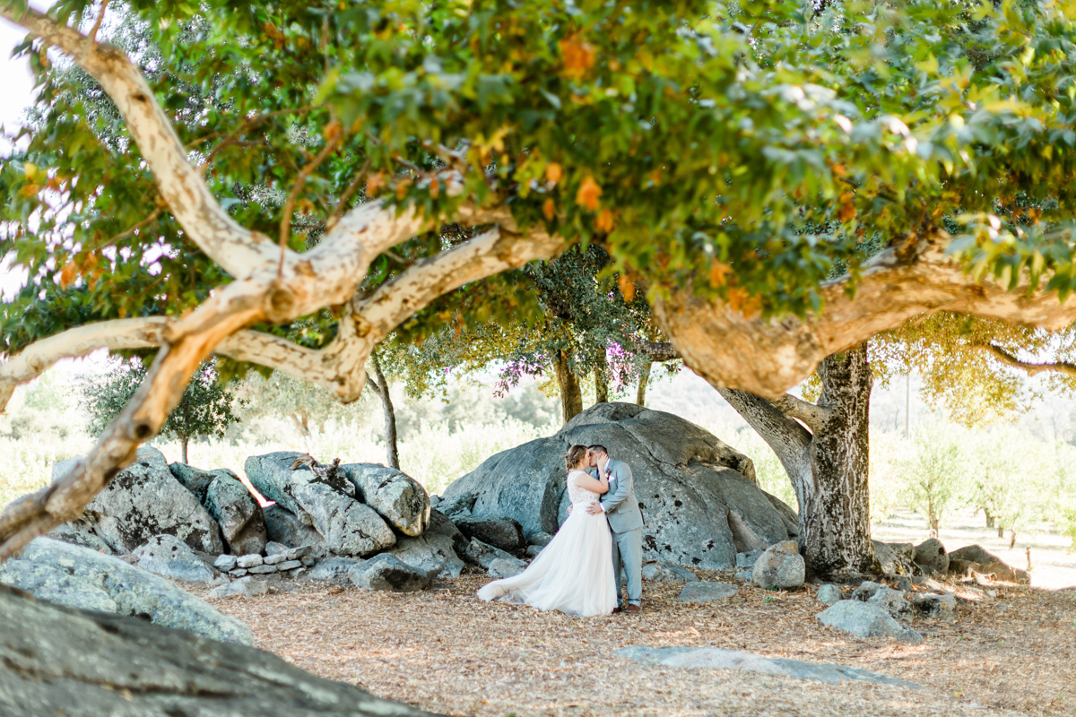 groom and bride in distance under tree