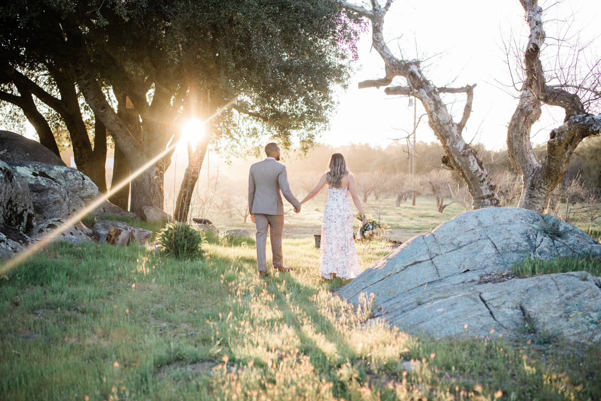 bride and groom walking away from camera toward the sun in a grove