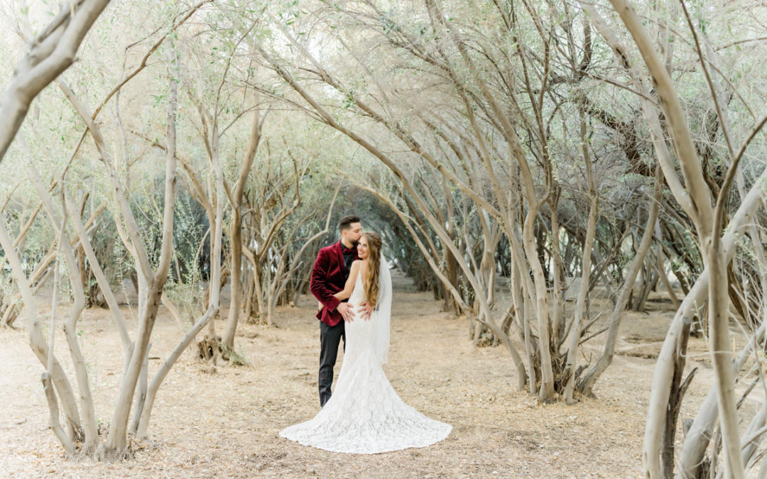 Groom in maroon crushed velvet suit jacket with bride in white standing under bare trees in an arched tunnel
