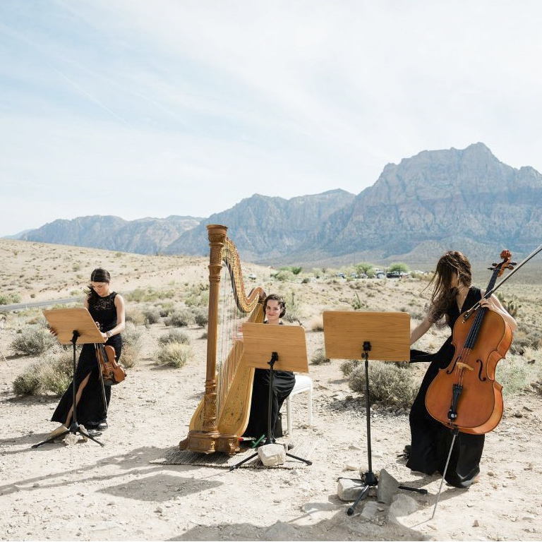 Three string trio.