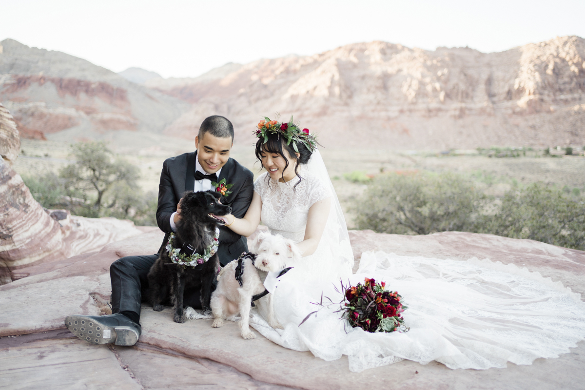 Wedding Day Pet Care